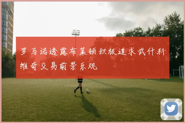 罗马诺透露布莱顿积极追求武什科维奇交易前景乐观